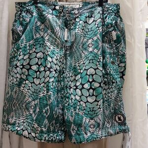 Society Teal and Navy Patterned Swim Shorts